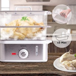 Duronic FS87 Food Steamer in use.