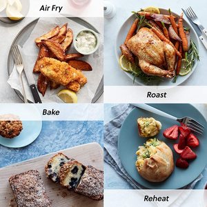 Instant Brands Vortex Mini Air Fryer's capability.